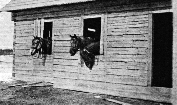 Иллюстрация к книге — Брусиловский прорыв [i_030.jpg]