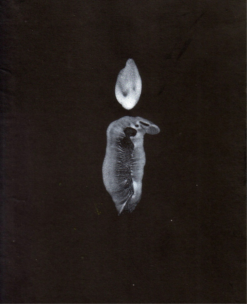 Иллюстрация к книге — О детском рисовании [svecha_fmt.jpg_0.jpg]