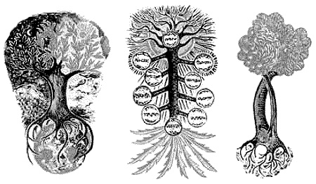 Иллюстрация к книге — Энциклопедия символов, знаков, эмблем [i_097.jpg]