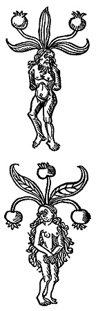 Иллюстрация к книге — Энциклопедия символов, знаков, эмблем [i_244.jpg]