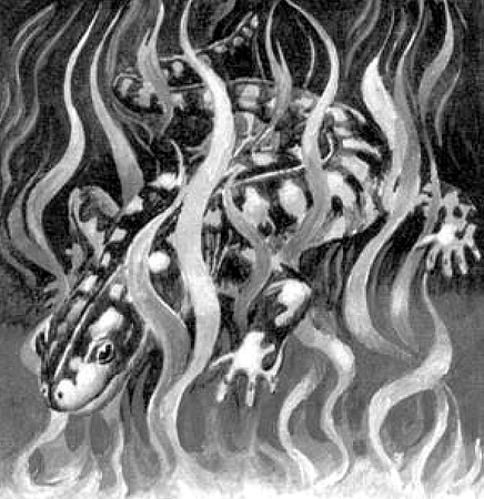 Иллюстрация к книге — Энциклопедия символов, знаков, эмблем [i_275.jpg]