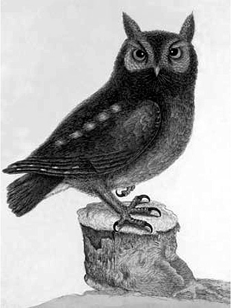 Иллюстрация к книге — Энциклопедия символов, знаков, эмблем [i_337.jpg]