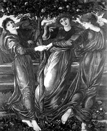 Иллюстрация к книге — Энциклопедия символов, знаков, эмблем [i_402.jpg]