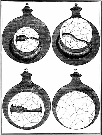 Иллюстрация к книге — Энциклопедия символов, знаков, эмблем [i_442.jpg]