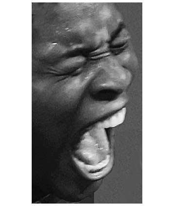 Иллюстрация к книге — Как рождаются эмоции. Революция в понимании мозга и управлении эмоциями [i_009.jpg]