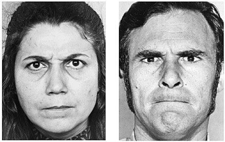 Иллюстрация к книге — Как рождаются эмоции. Революция в понимании мозга и управлении эмоциями [i_012.jpg]