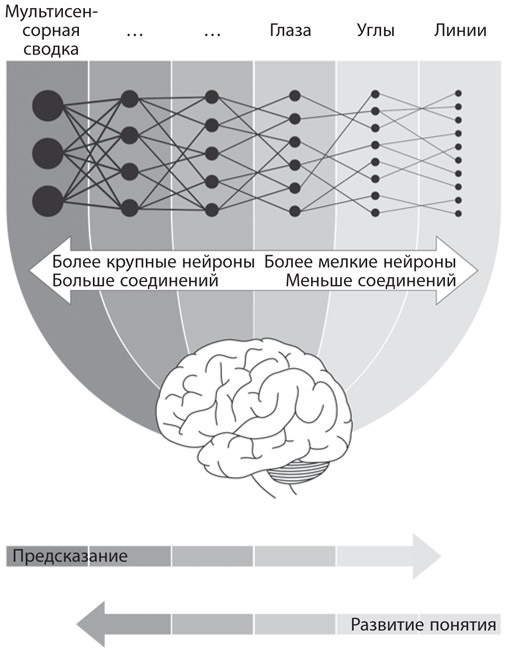 Иллюстрация к книге — Как рождаются эмоции. Революция в понимании мозга и управлении эмоциями [i_025.jpg]