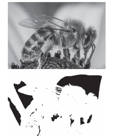 Иллюстрация к книге — Как рождаются эмоции. Революция в понимании мозга и управлении эмоциями [i_037.jpg]