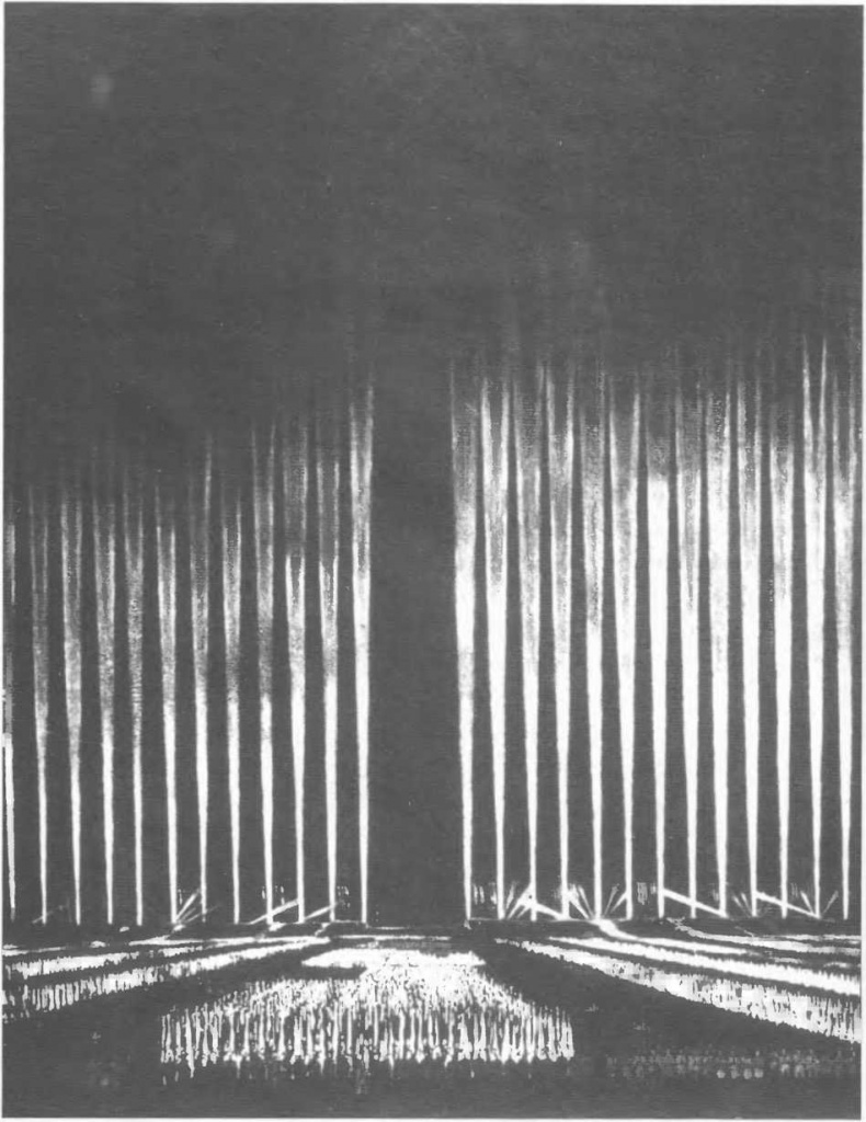 Иллюстрация к книге — Оккультные тайны Третьего рейха. Темные силы, освобожденные нацистами [i_098.jpg]