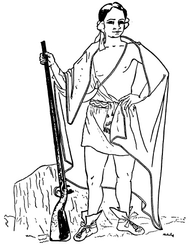 Иллюстрация к книге — Ружья, мушкеты и пистолеты Нового Света. Огнестрельное оружие XVII-XIX веков [i_011.jpg]