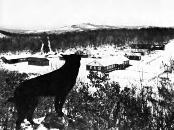 Иллюстрация к книге — Советско-китайские войны. Пограничники против маоистов Уцененный товар (№1) [i_001.jpg]