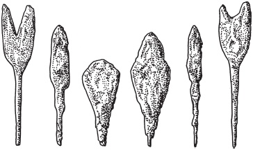 Иллюстрация к книге — Монголы. Основатели империи Великих ханов [_07.jpg]