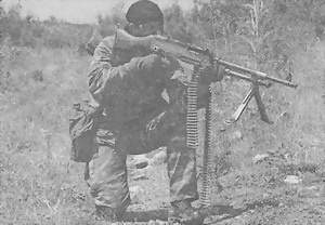 Иллюстрация к книге — Пулеметы России. Шквальный огонь [i_157.jpg]