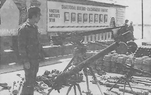 Иллюстрация к книге — Пулеметы России. Шквальный огонь [i_169.jpg]