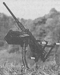 Иллюстрация к книге — Пулеметы России. Шквальный огонь [i_319.jpg]