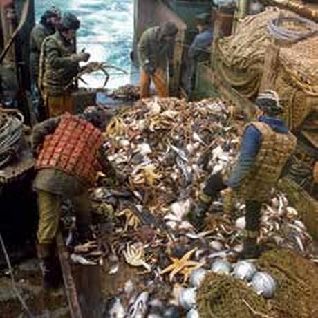 Иллюстрация к книге — Погружение разрешаю [_210_2.jpg]