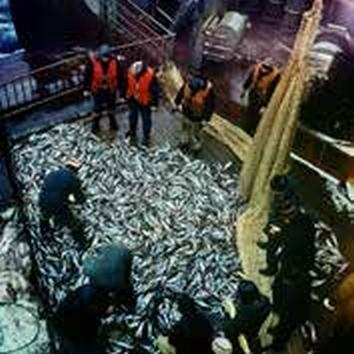 Иллюстрация к книге — Погружение разрешаю [_213.jpg]