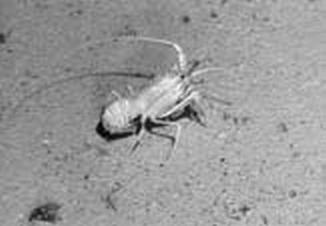 Иллюстрация к книге — Погружение разрешаю [_214_2.jpg]