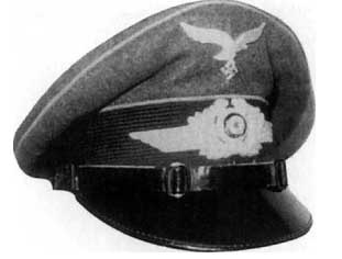 Иллюстрация к книге — Дивизия &quot;Герман Геринг&quot; [i_021.jpg]