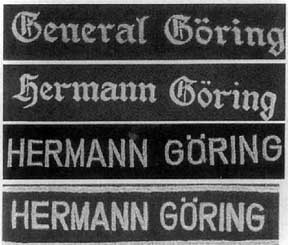 Иллюстрация к книге — Дивизия &quot;Герман Геринг&quot; [i_026.jpg]