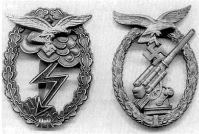 Иллюстрация к книге — Дивизия &quot;Герман Геринг&quot; [i_027.jpg]