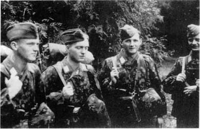 Иллюстрация к книге — Дивизия &quot;Герман Геринг&quot; [i_050.jpg]