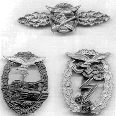 Иллюстрация к книге — Дивизия &quot;Герман Геринг&quot; [i_059.jpg]