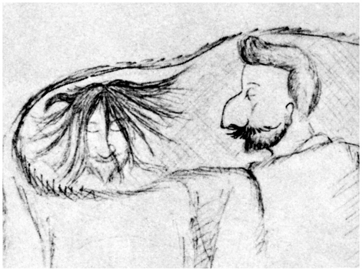 Иллюстрация к книге — Фредерик Кук на вершине континента. Возвращаем Мак-Кинли великому американцу [i_008.jpg]