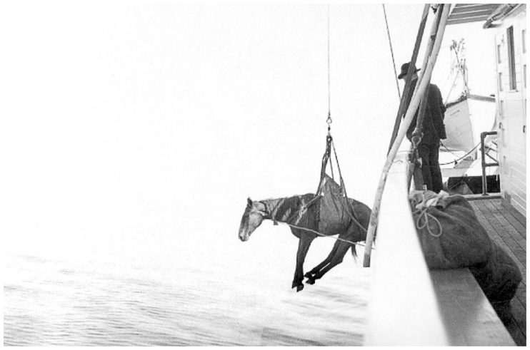 Иллюстрация к книге — Фредерик Кук на вершине континента. Возвращаем Мак-Кинли великому американцу [i_012.jpg]