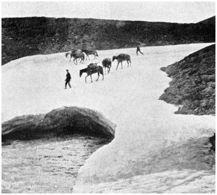 Иллюстрация к книге — Фредерик Кук на вершине континента. Возвращаем Мак-Кинли великому американцу [i_020.jpg]