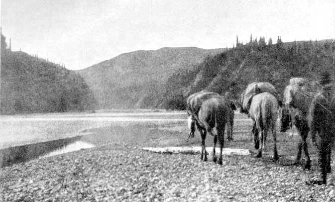 Иллюстрация к книге — Фредерик Кук на вершине континента. Возвращаем Мак-Кинли великому американцу [i_024.jpg]