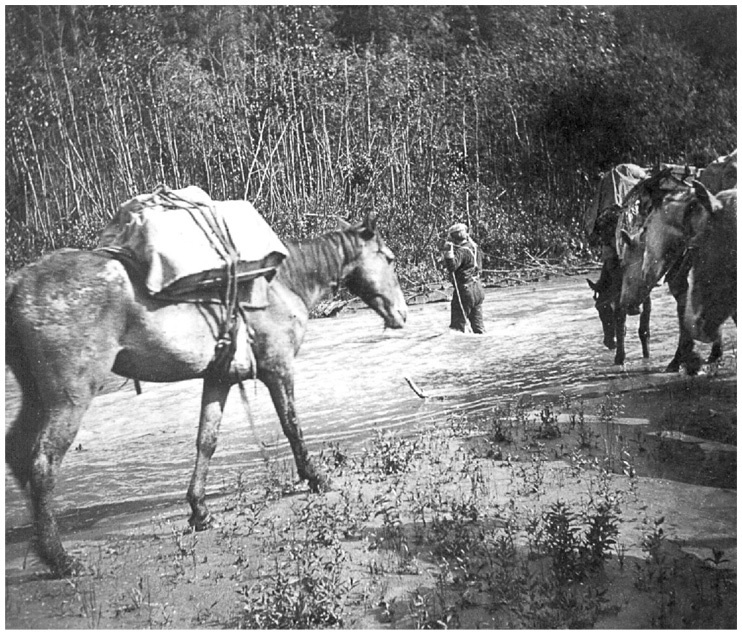 Иллюстрация к книге — Фредерик Кук на вершине континента. Возвращаем Мак-Кинли великому американцу [i_025.jpg]