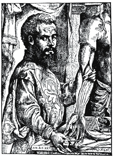 Иллюстрация к книге — Эпоха Возрождения. Быт, религия, культура [_211.jpg]