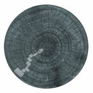 Иллюстрация к книге — Пена колдовских доменов [i_007.jpg]