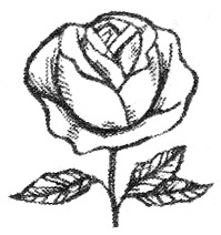 Иллюстрация к книге — Ключ жизни [i_002.jpg]