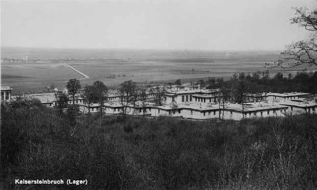 Иллюстрация к книге — Седого графа сын побочный [i_016.jpg]