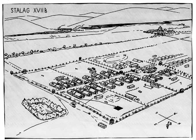 Иллюстрация к книге — Седого графа сын побочный [i_017.jpg]