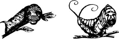 Иллюстрация к книге — Ангелы и насекомые [i_004.jpg]