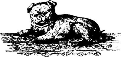 Иллюстрация к книге — Ангелы и насекомые [i_011.jpg]