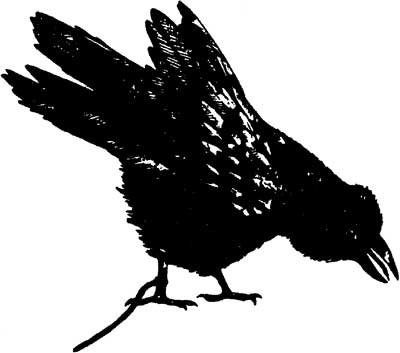 Иллюстрация к книге — Ангелы и насекомые [i_018.jpg]