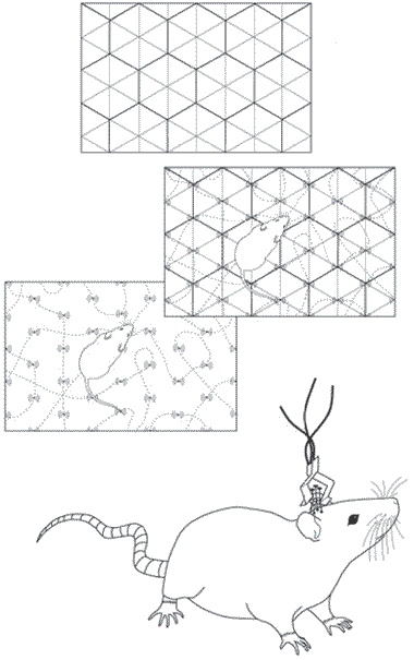 Иллюстрация к книге — Мозг всемогущий. Путеводитель по самому незаменимому органу нашего тела [i_013.jpg]