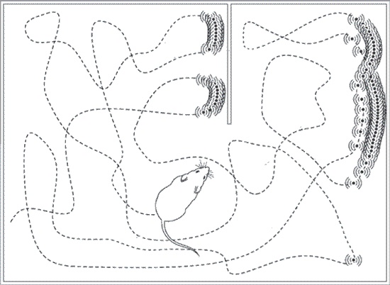 Иллюстрация к книге — Мозг всемогущий. Путеводитель по самому незаменимому органу нашего тела [i_016.jpg]