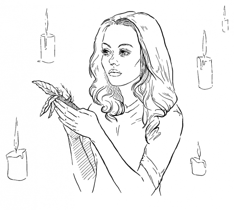 Иллюстрация к книге — Роковой подарок жениха [i_004.jpg]