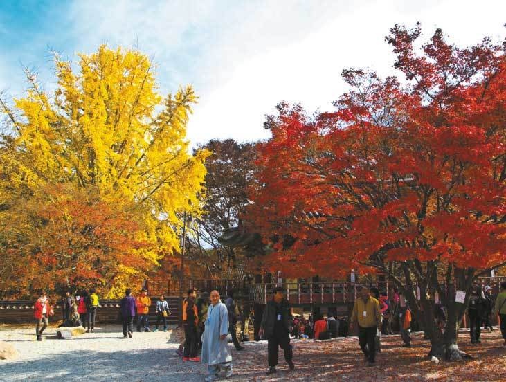 Иллюстрация к книге — Южная Корея [i_057.jpg]