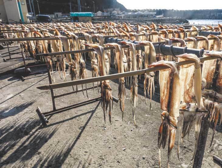 Иллюстрация к книге — Южная Корея [i_061.jpg]