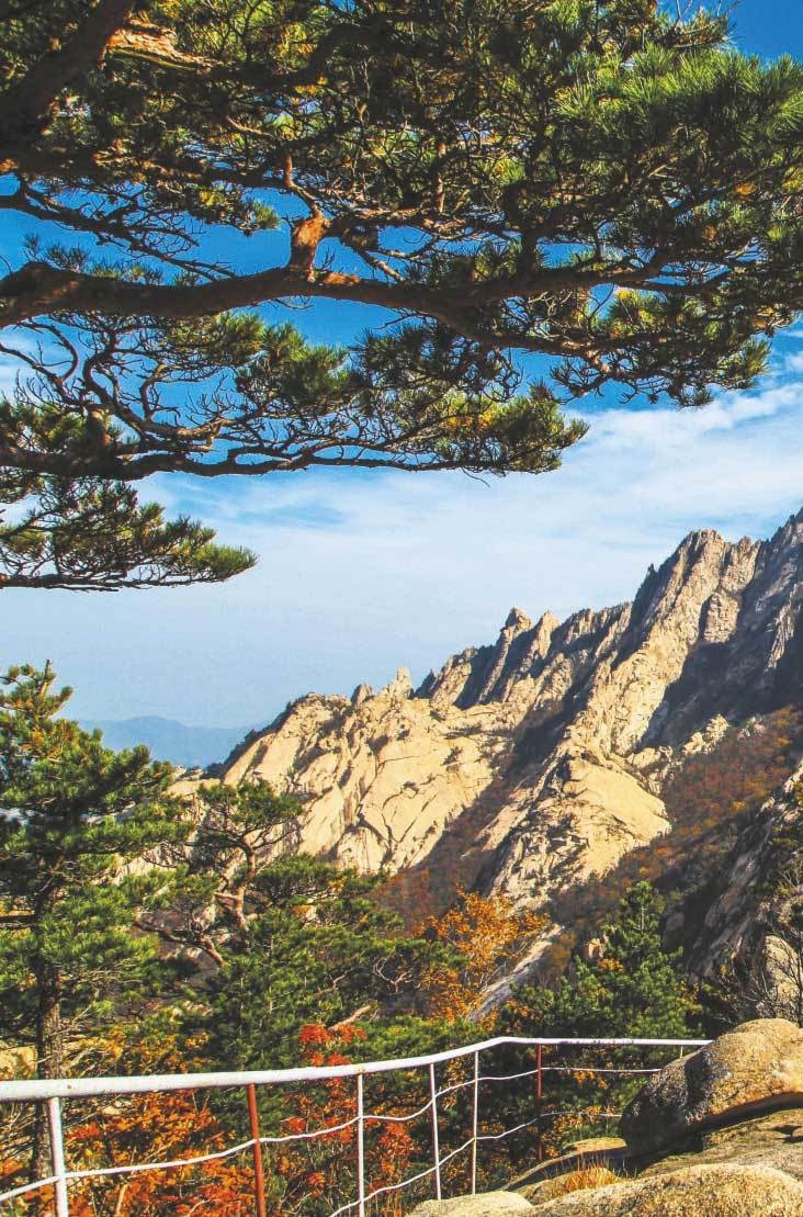 Иллюстрация к книге — Северная Корея [i_051.jpg]