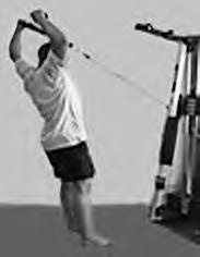 Иллюстрация к книге — Физическая подготовка квалифицированных дзюдоистов к главному соревнованию года [i_134.jpg]