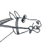 Иллюстрация к книге — Школа верховой езды для начинающих [i_004.jpg]