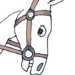 Иллюстрация к книге — Школа верховой езды для начинающих [i_020.jpg]