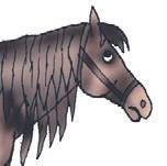 Иллюстрация к книге — Школа верховой езды для начинающих [i_022.jpg]